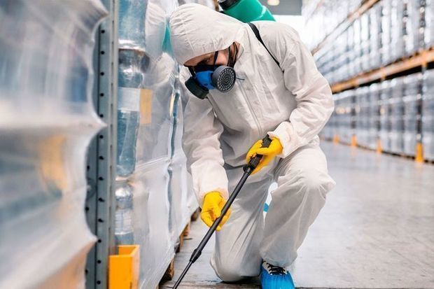 Главврач о проведении дезинфекции в школах