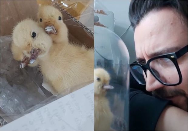 Kanadalı kişiyə Çindən tükürpədən bağlama gəldi - FOTO