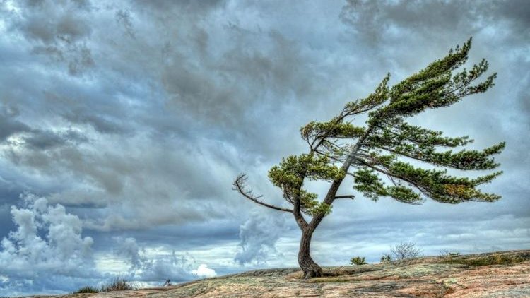 Sabah güclü külək əsəcək, rayonlara qar yağacaq