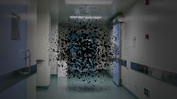 Dünya xəstəxanalarını ölümcül təhlükəli göbələk xəstəliyi bürüyüb: Yeni pandemiyanın başlanğıcı