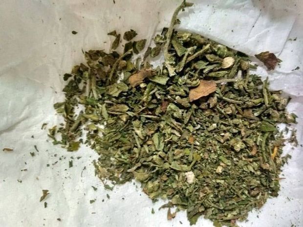 Balakən sakinindən narkotik götürüldü - FOTO