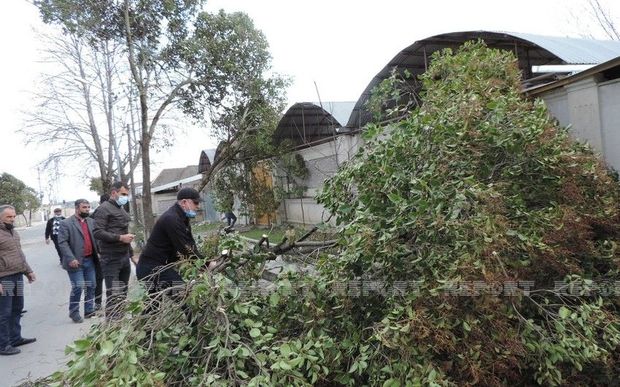 Güclü külək Ağsuda bir sıra fəsadlar törətdi - FOTO