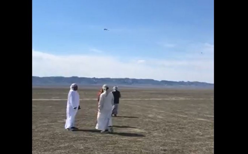 Ərəblərin drona göyərçin bağlayıb şahinə yem etmələri ilə bağlı rəsmi açıqlama