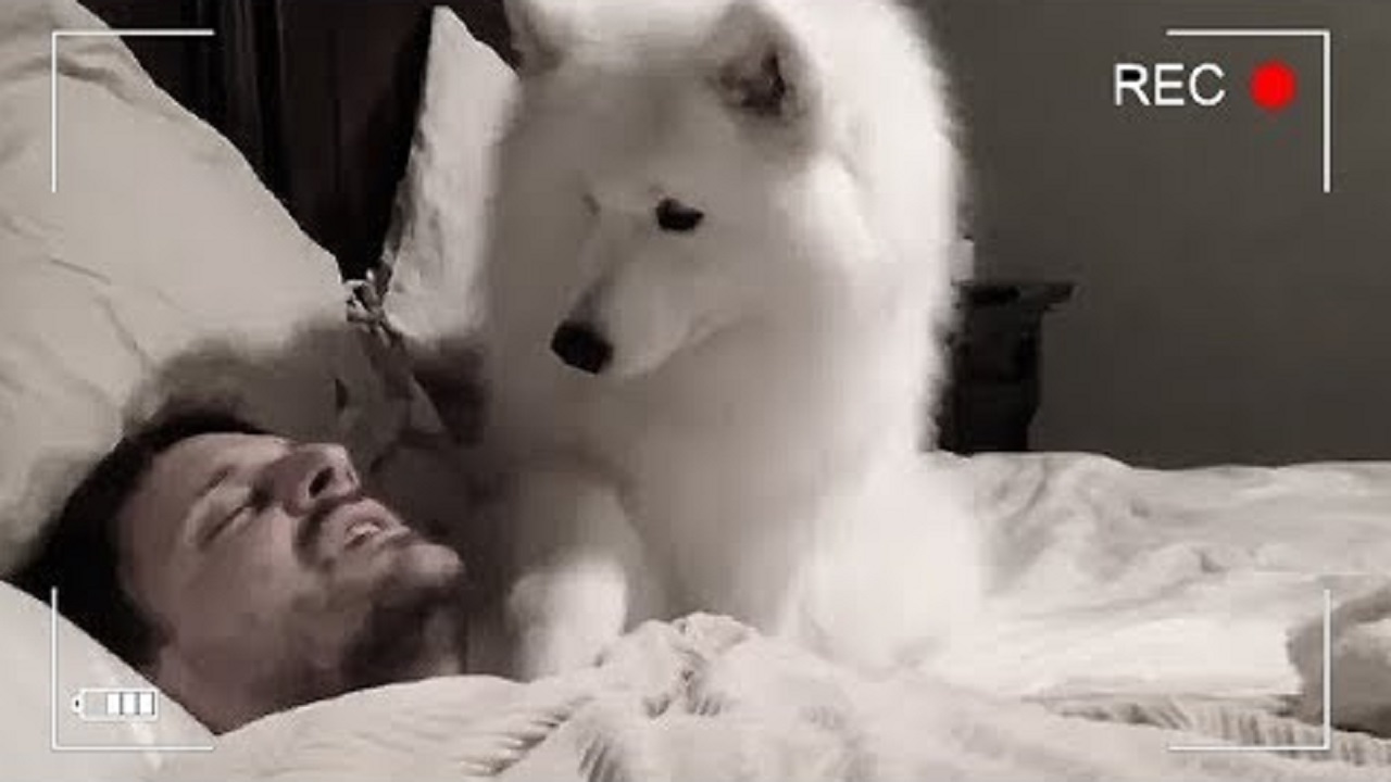 Evə kamera quraşdırıb yatdı,gördüklərindən şok oldu - VİDEO