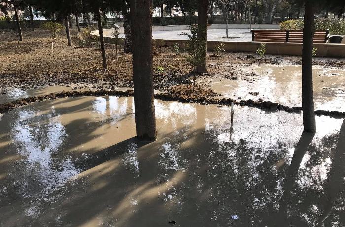 Heydər Əliyevin adını daşıyan parkda ağacların dibinə beton vurularaq məhv edilir — VİDEO/FOTOLAR