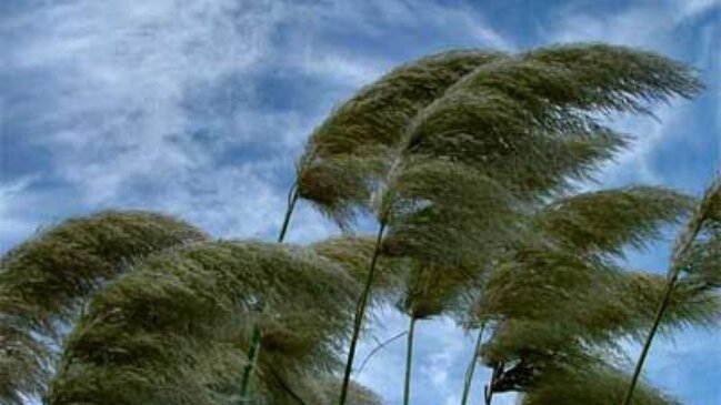 Güclü külək əsəcək, yağış yağacaq - PROQNOZ