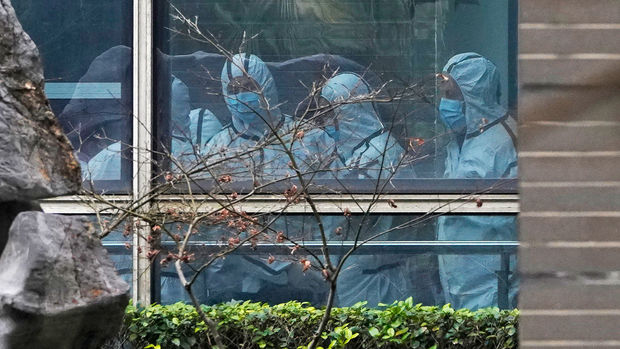 Dünyanın gözlədiyi hesabat: ÜST alimləri Çində koronavirusun mənşəyini araşdırdı - NƏTİCƏ