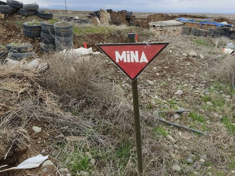 Ermənilər məqsədli şəkildə hərbi təyinatı olmayan əraziləri də minalayıblar - Deputat