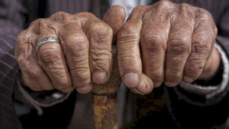 Uzunömürlülərdə bu xəstəliklər çox az qeydə alınır