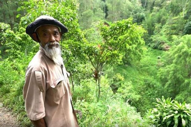 İndoneziyalı qoca təkbaşına 11 min ağac əkdi - FOTO