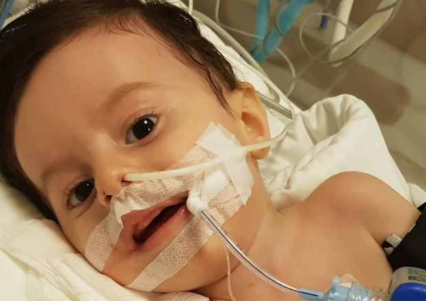 Маленький Тунар нуждается в помощи - ВИДЕО