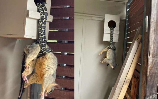 Qapını açan gənc gördüklərinə inanmadı- DƏHŞƏTLİ MƏNZƏRƏ - FOTOLAR