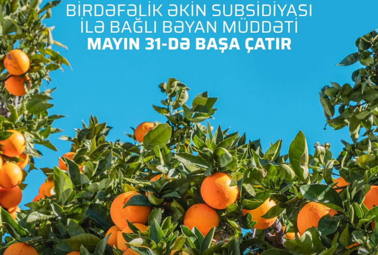 Fermerlərin diqqətinə: Birdəfəlik əkin subsidiyası almaq üçün müraciətlərin qəbulu davam edir