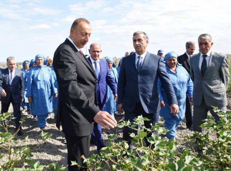 İcra başçısı prezidentə şikayət edən sakini cərimələtdi: Salyanda qəribə olay