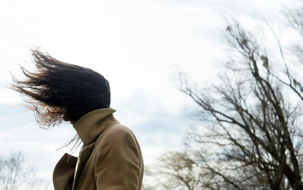 Nazirlikdən küləkli hava ilə bağlı əhaliyə XƏBƏRDARLIQ