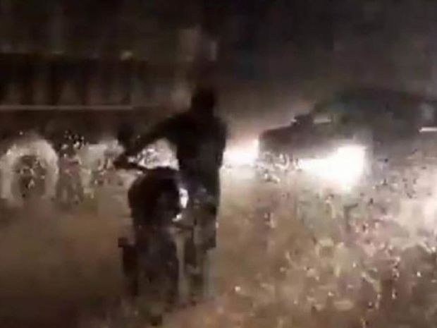 Hindistanda həşərat sürüsü yolda tıxac yaradıb – VİDEO