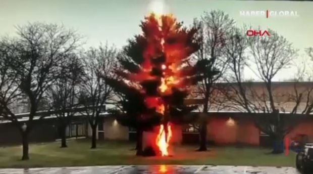 İldırım vuran ağac bir anda parçalandı – VİDEO