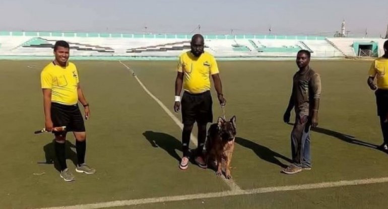 Bu ölkədə hakim futbol matçını idarə etməyə iti ilə gedir