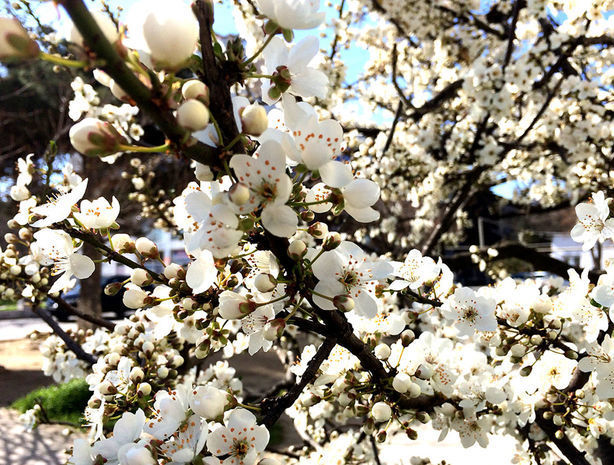 Прогноз погоды в Азербайджане на 15 апреля