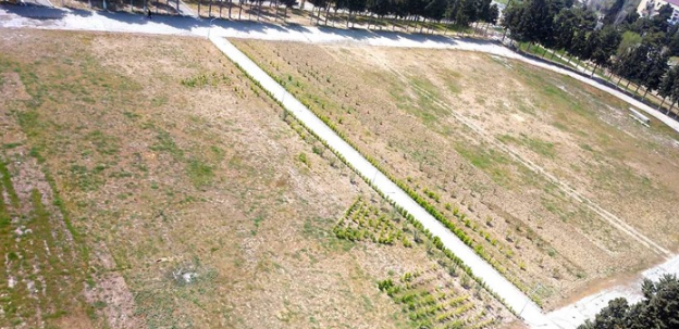 Azərbaycanda stadionu bostana çevirirlər? - FOTO