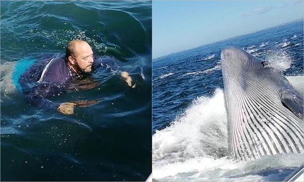 Balinanın ağzına düşməkdən son anda qurtuldu – VİDEO