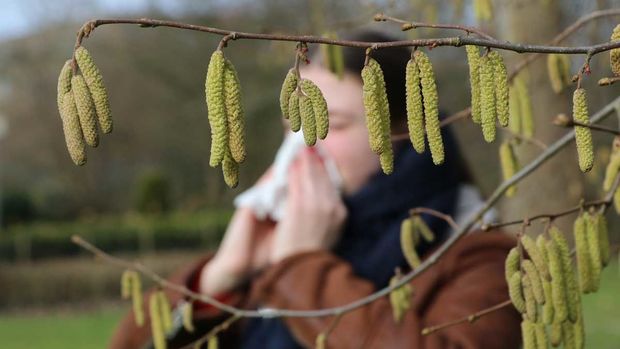 В Москве зафиксировали пыльцевой дождь