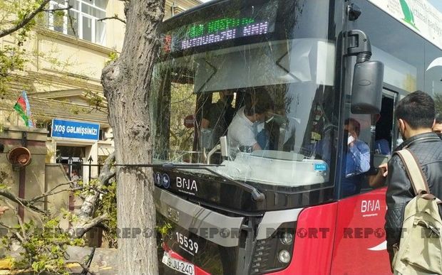 “BakuBus”un avtobusu ağaca çırpıldı: Xəsarət alanlar var - FOTO/VİDEO