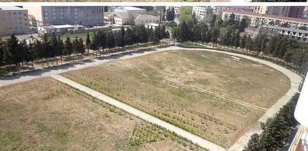 Полоса асфальта разделила стадион университета на две части: Минобразования начало расследование - ВИДЕО