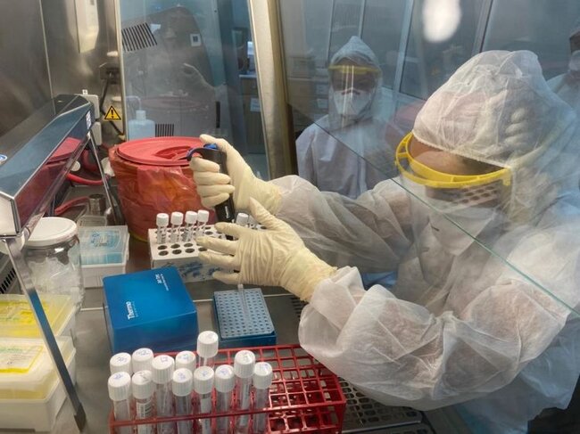 Koronavirusla bağlı PİS XƏBƏR - Daha iki növü aşkarlandı