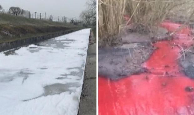 Sankt-Peterburqda çaylar rəngini dəyişib – VİDEO