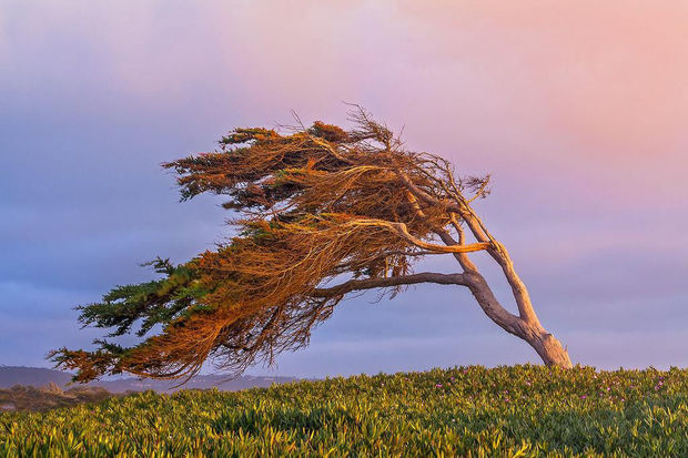 Faktiki hava: Bakıda 25 m/s külək əsir