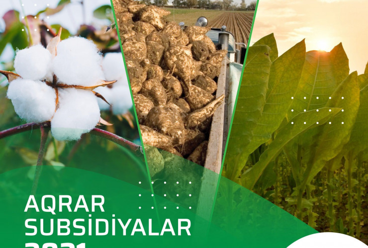 Yazlıq əkinlərə görə subsidiya almaq üçün müraciətlərin müddəti mayın 31-də başa çatır