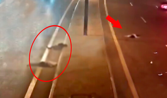 Aeroport yolunda ana və oğlunun öldüyü qəzanın dəhşətli görüntüləri – ANBAAN VİDEO