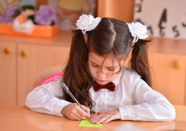 Təhsil Nazirliyinin rəsmisindən valideynlərə ÇAĞIRIŞ