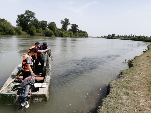 Brakonyerliklə mübarizə “Təmiz hövzələr” aksiyası çərçivəsində davam edib - FOTO
