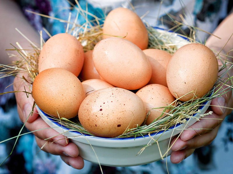 Rusiyada peyvənd olunan pensiyaçılara pulsuz yumurta veriləcək