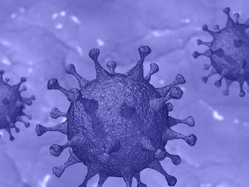 Yeni dəhşətli virus təhlükəsi - Bu ştam koronavirus keçirənləri təkrar yoluxdura bilər