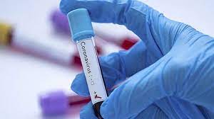 Yoluxanların sayı 1000-dən aşağı düşdü