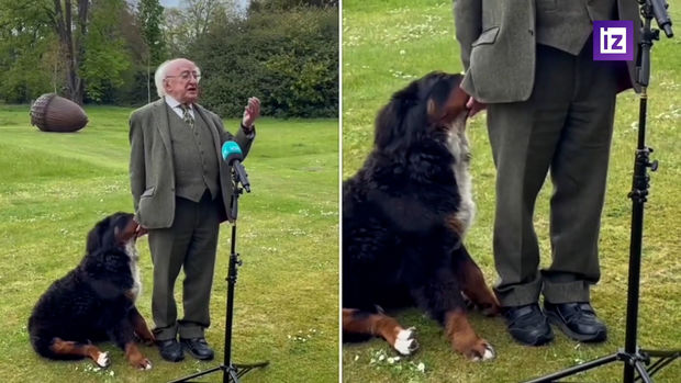 İrlandiya dövlət başçısının iti ilə mehriban ünsiyyəti maraqla qarşılandı - VİDEO