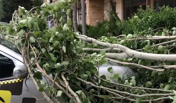 Güclü külək Sumqayıtda fəsadlar törədib - VİDEO