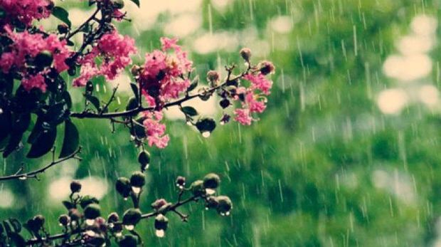 Sabah hava necə olacaq?