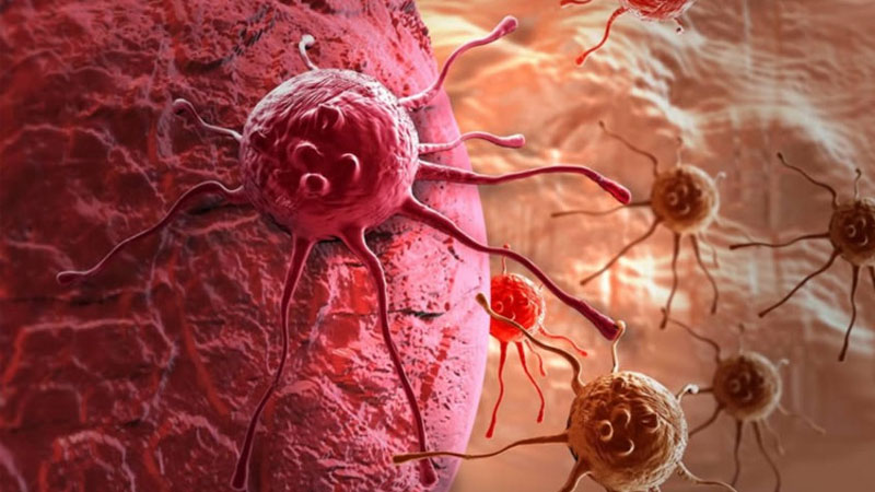 Xərçəngin yayılmasının qarşısını alan maddə tapıldı