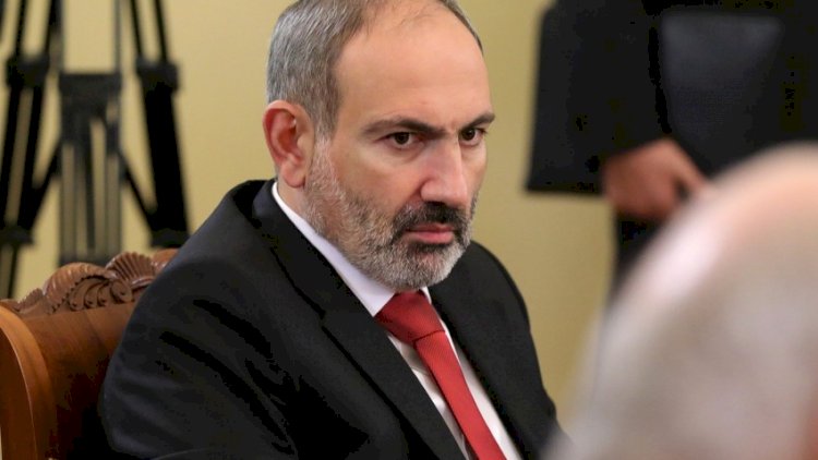 Ermənilər Paşinyanı siçovula bənzətdi