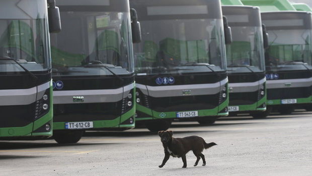 Gürcüstanda koronavirusla bağlı qəbul edilmiş məhdudiyyət aradan qaldırıldı