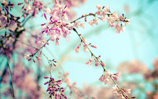 Прогноз погоды в Азербайджане на 19 мая