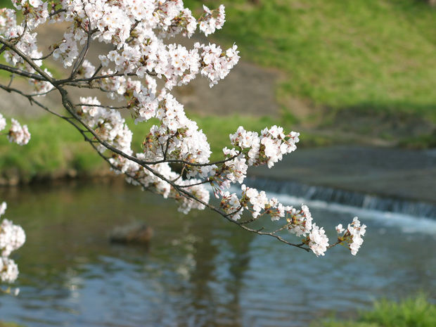 Прогноз погоды в Азербайджане на 20 мая