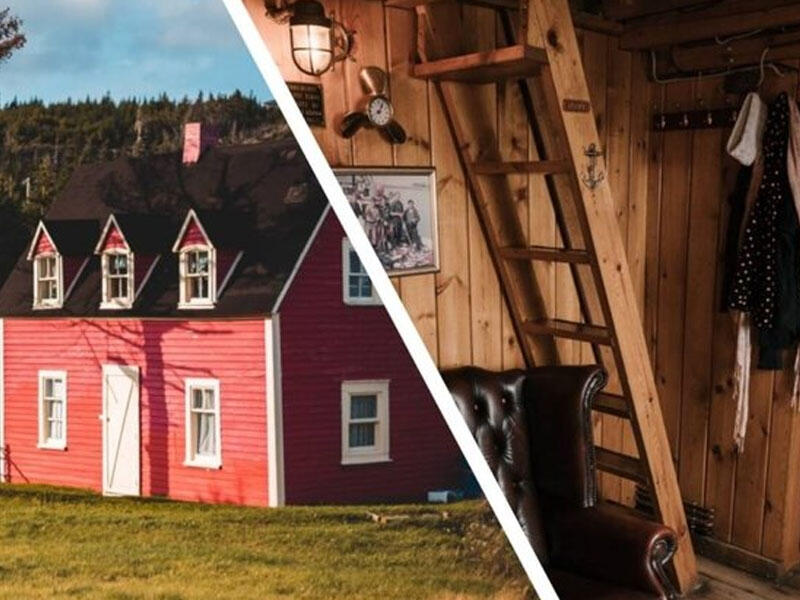 Evin çardağından çıxanlar dəhşətə gətirdi: Düz 30 ədəd... - FOTO