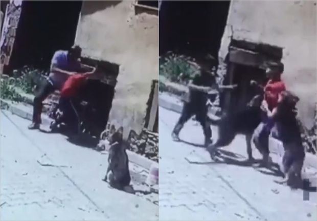 Əlil uşağı dəcəllik etdiyi bəhanəsiylə itlərin qabağına atdı – VİDEO