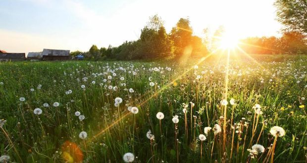 Həftənin ilk günü hava necə olacaq? - PROQNOZ