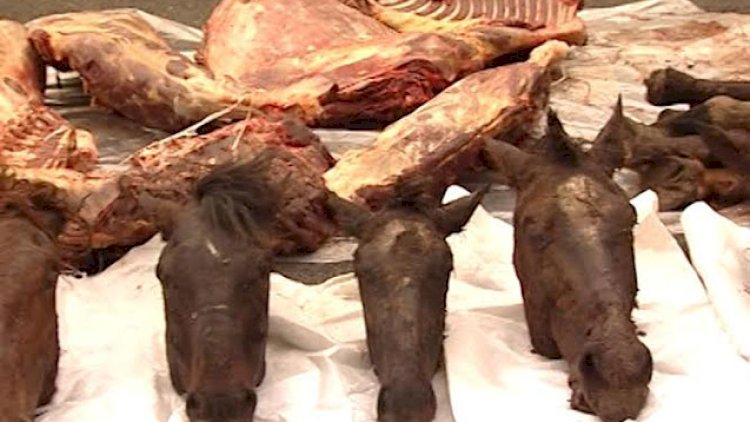 At ətini mal əti adı ilə satmaq istədilər